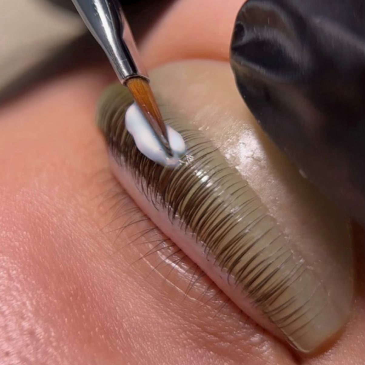 application fixateur rehaussement de cils