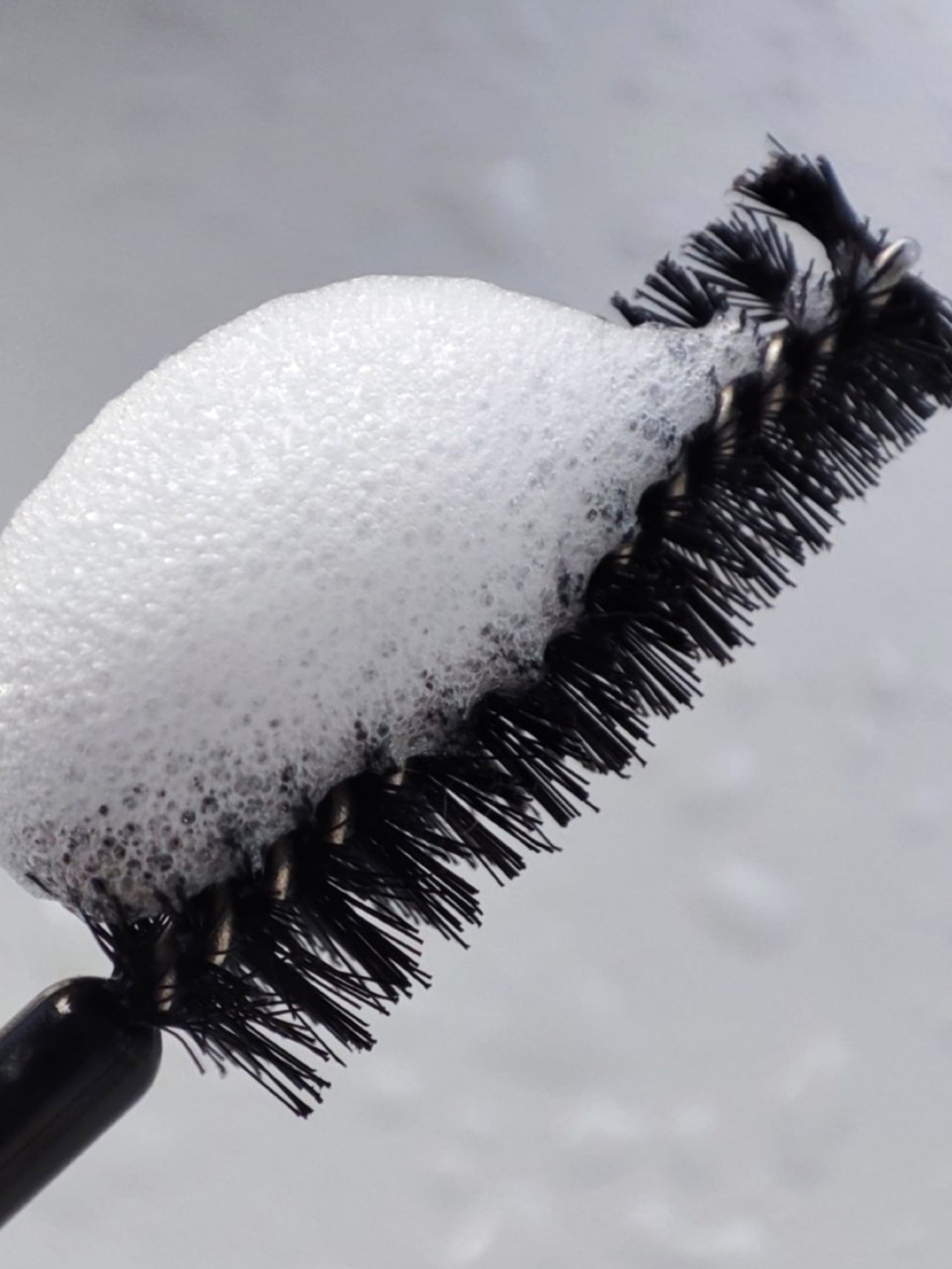 goupillons brosse noir
