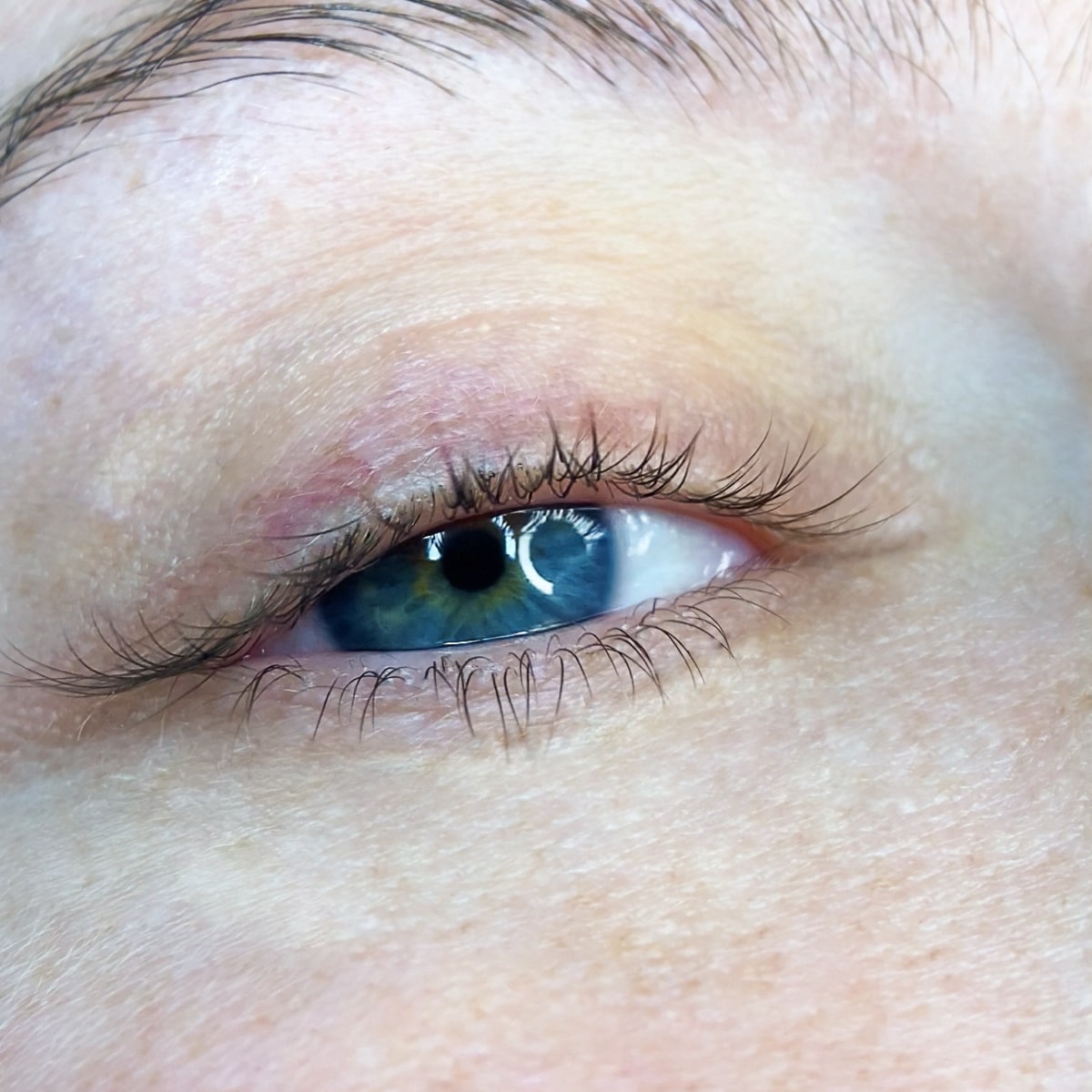 formation rehaussement de cils